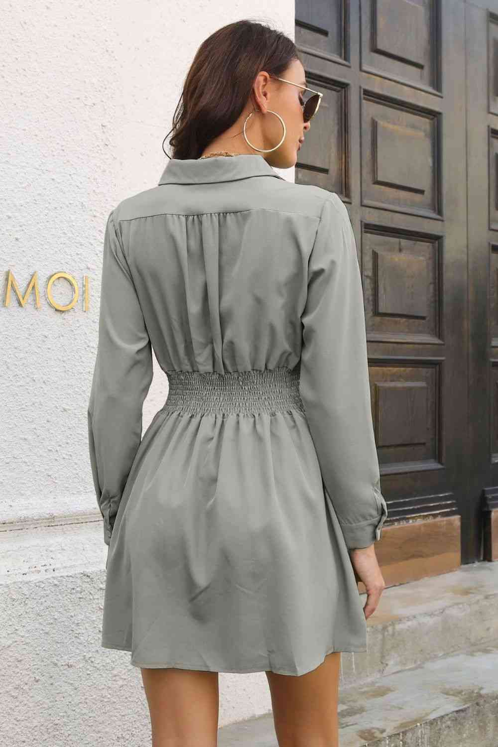 Johnny Collar Smocked Waist Long Sleeve Mini Dress BLUE ZONE PLANET