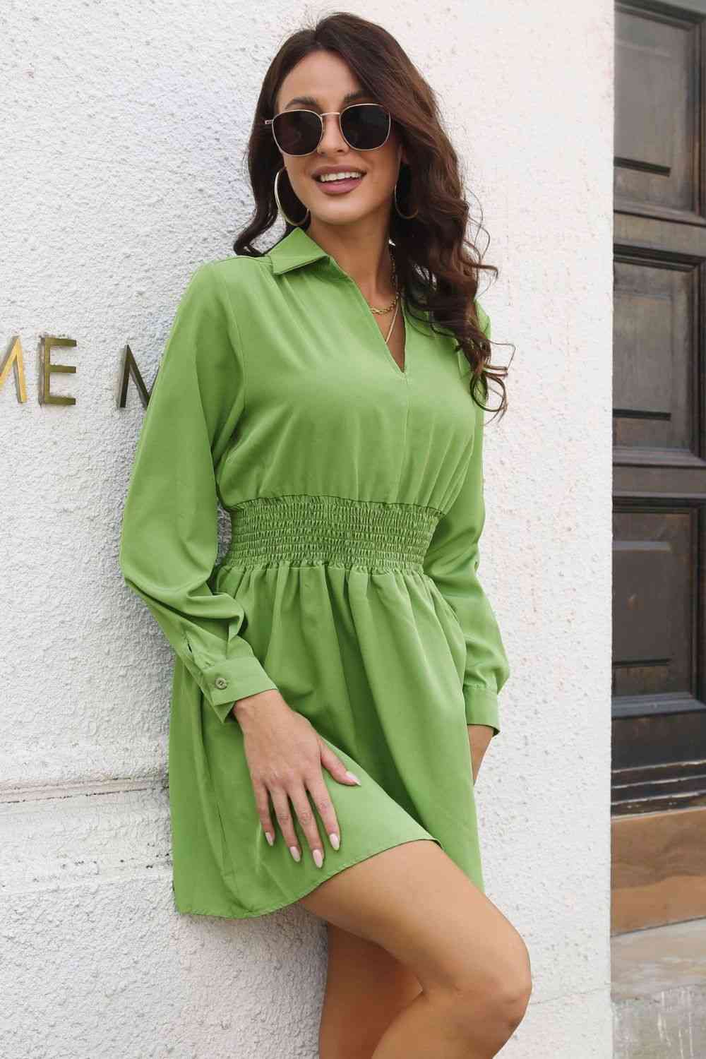Johnny Collar Smocked Waist Long Sleeve Mini Dress BLUE ZONE PLANET