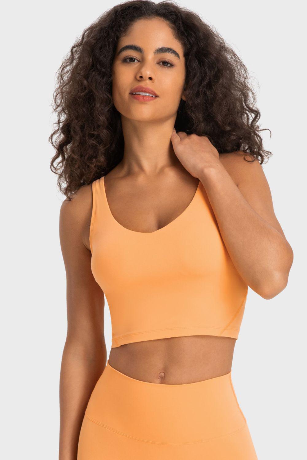 Deep V-Neck Crop Sports Bra BLUE ZONE PLANET