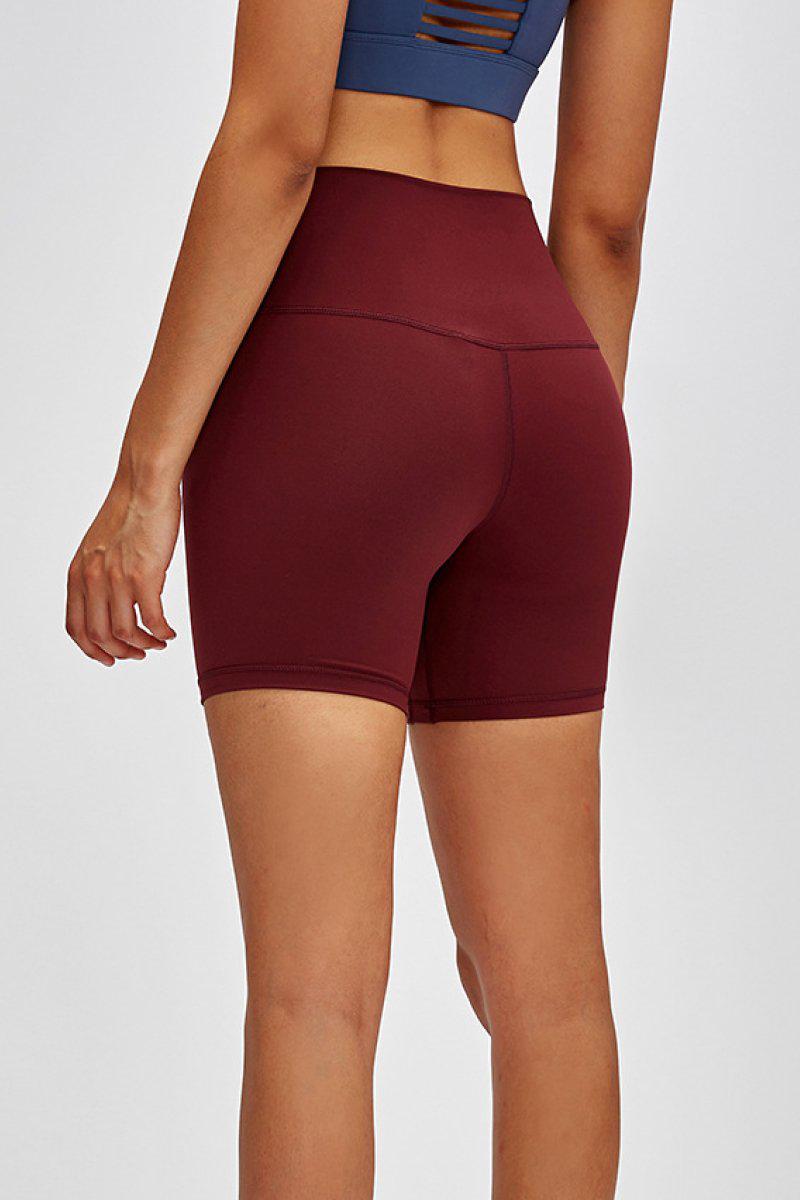 High Waist Training Shorts BLUE ZONE PLANET