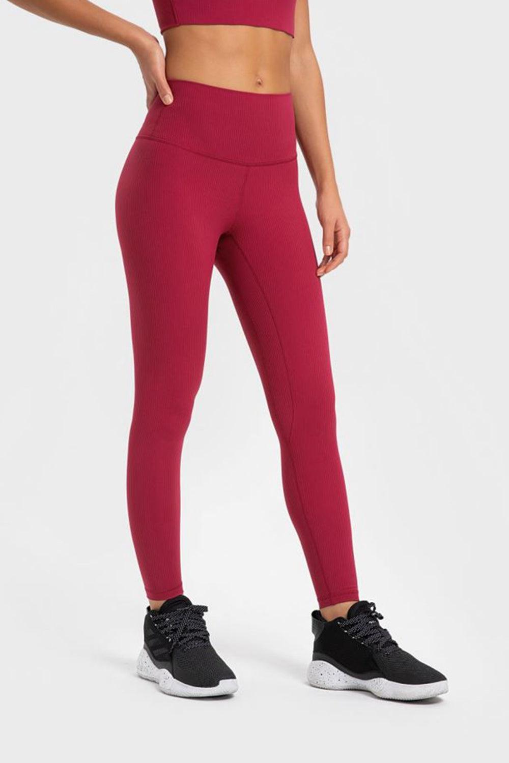Highly Stretchy Wide Waistband Yoga Leggings BLUE ZONE PLANET