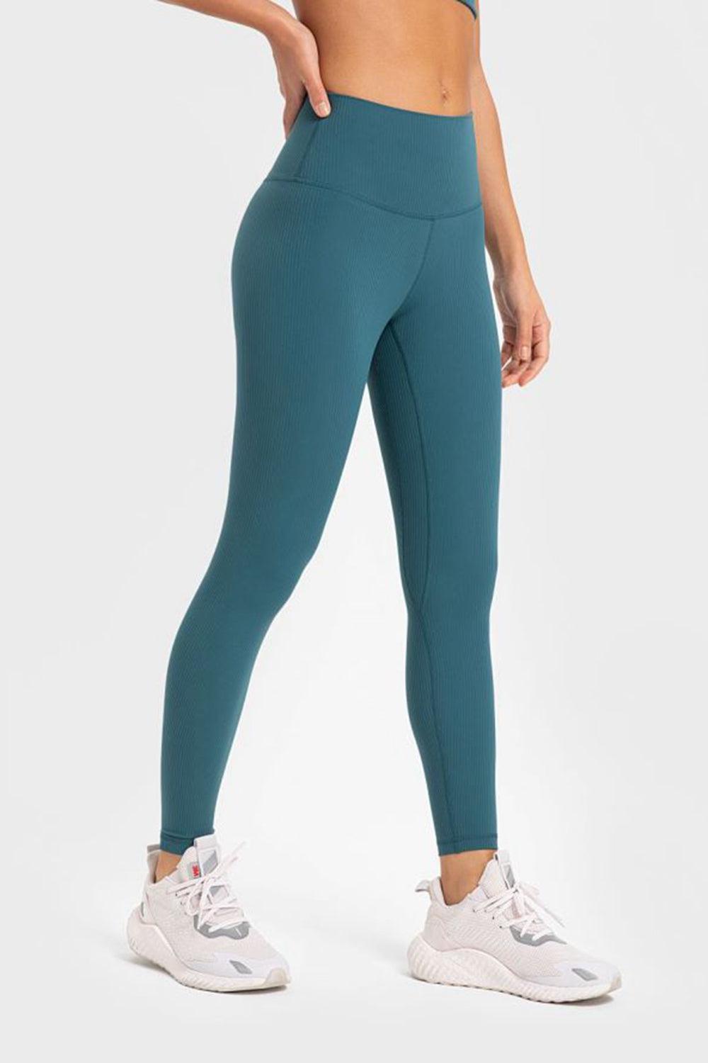 Highly Stretchy Wide Waistband Yoga Leggings BLUE ZONE PLANET
