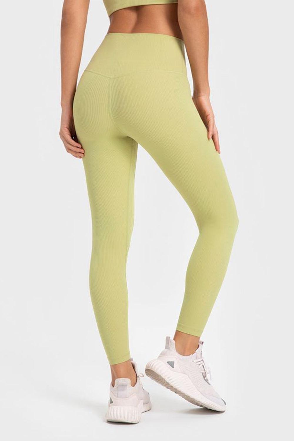 Highly Stretchy Wide Waistband Yoga Leggings BLUE ZONE PLANET