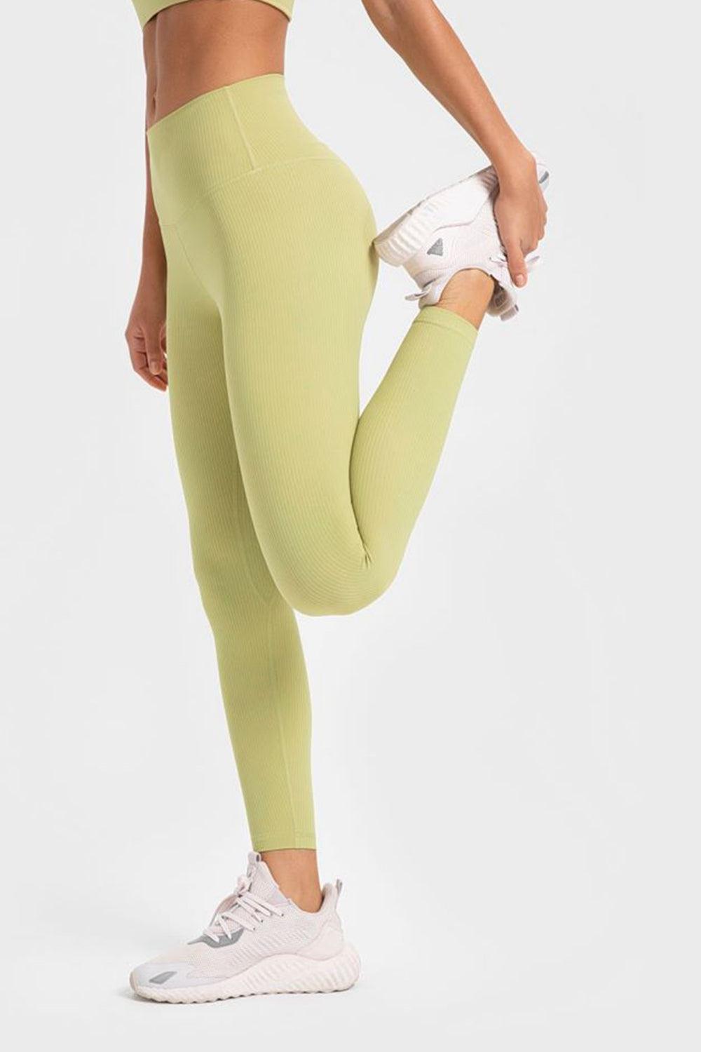 Highly Stretchy Wide Waistband Yoga Leggings BLUE ZONE PLANET
