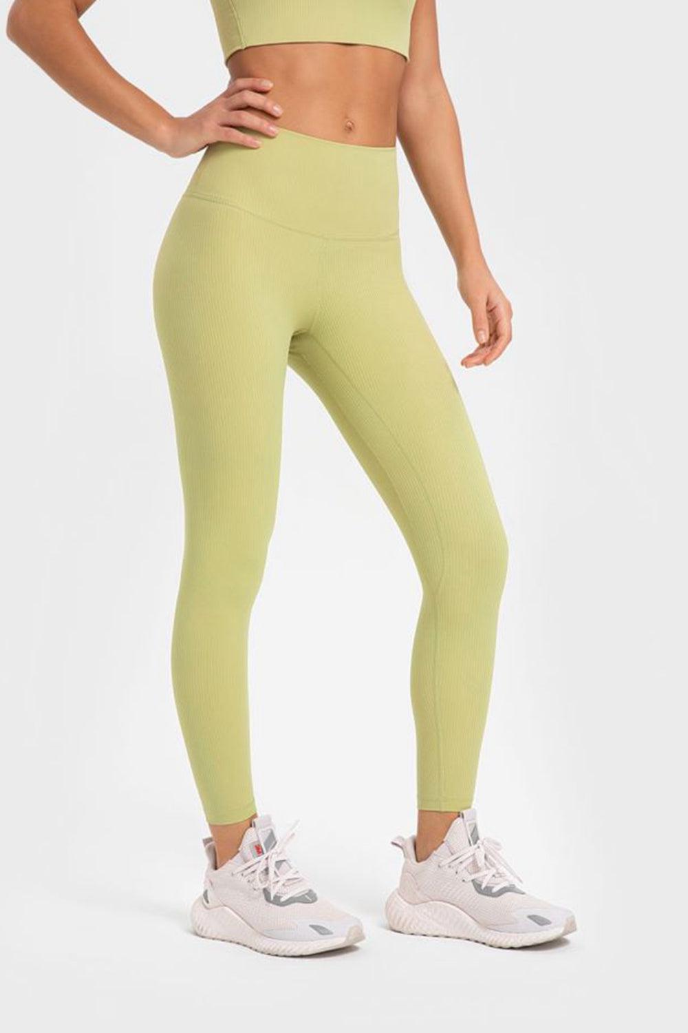 Highly Stretchy Wide Waistband Yoga Leggings BLUE ZONE PLANET