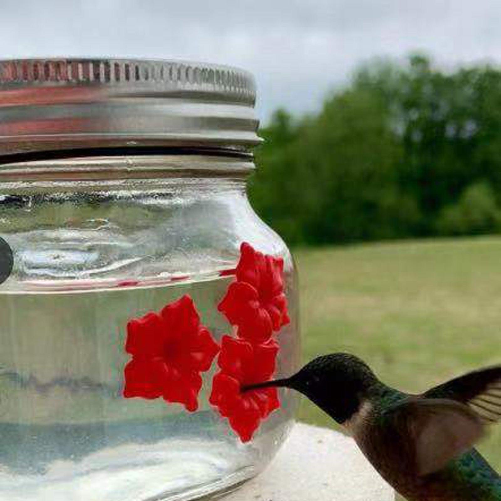 Hummingbird Hanging Feeder Jar with Flower Mechanism BLUE ZONE PLANET