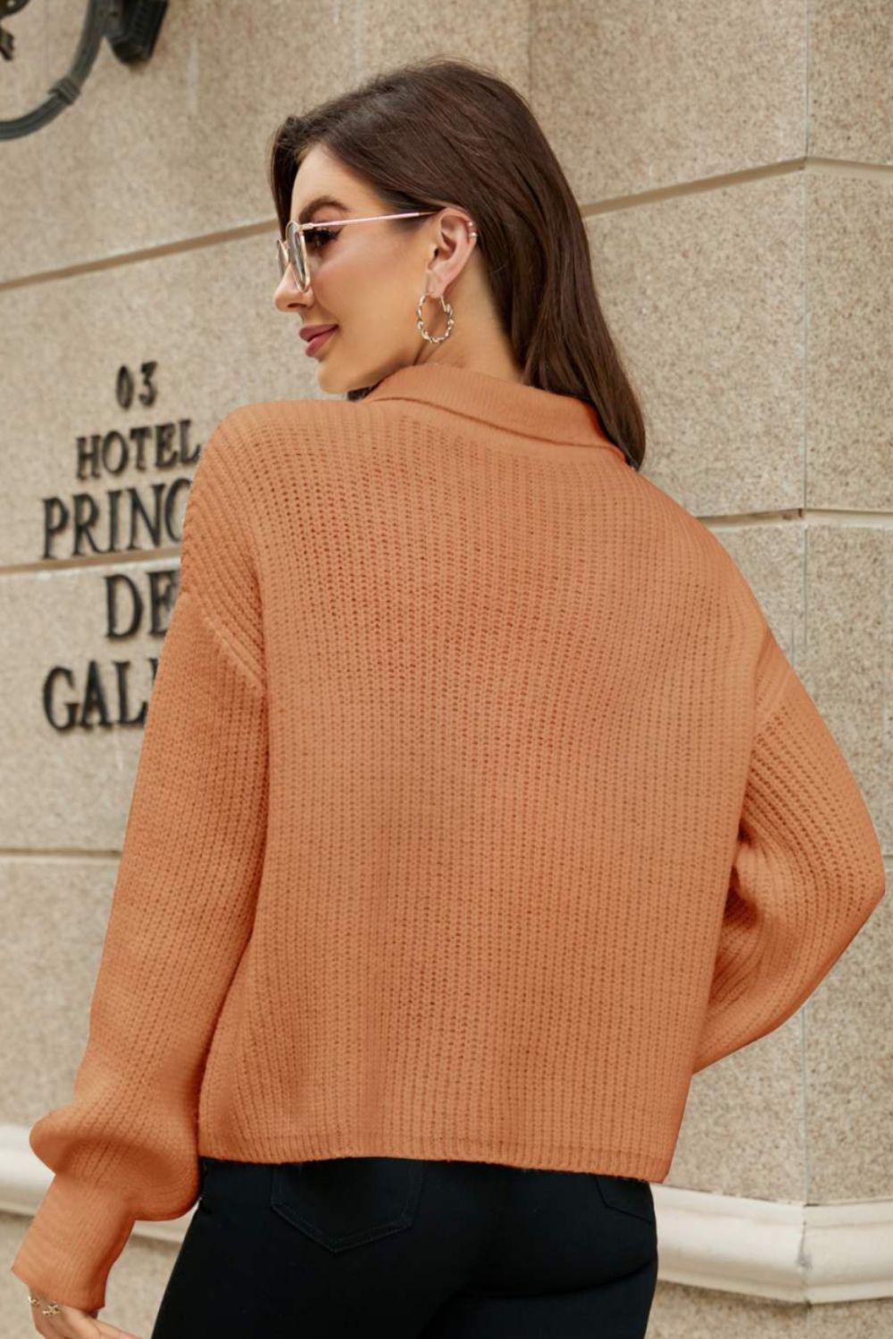 Johnny Collar Lantern Sleeve Sweater BLUE ZONE PLANET