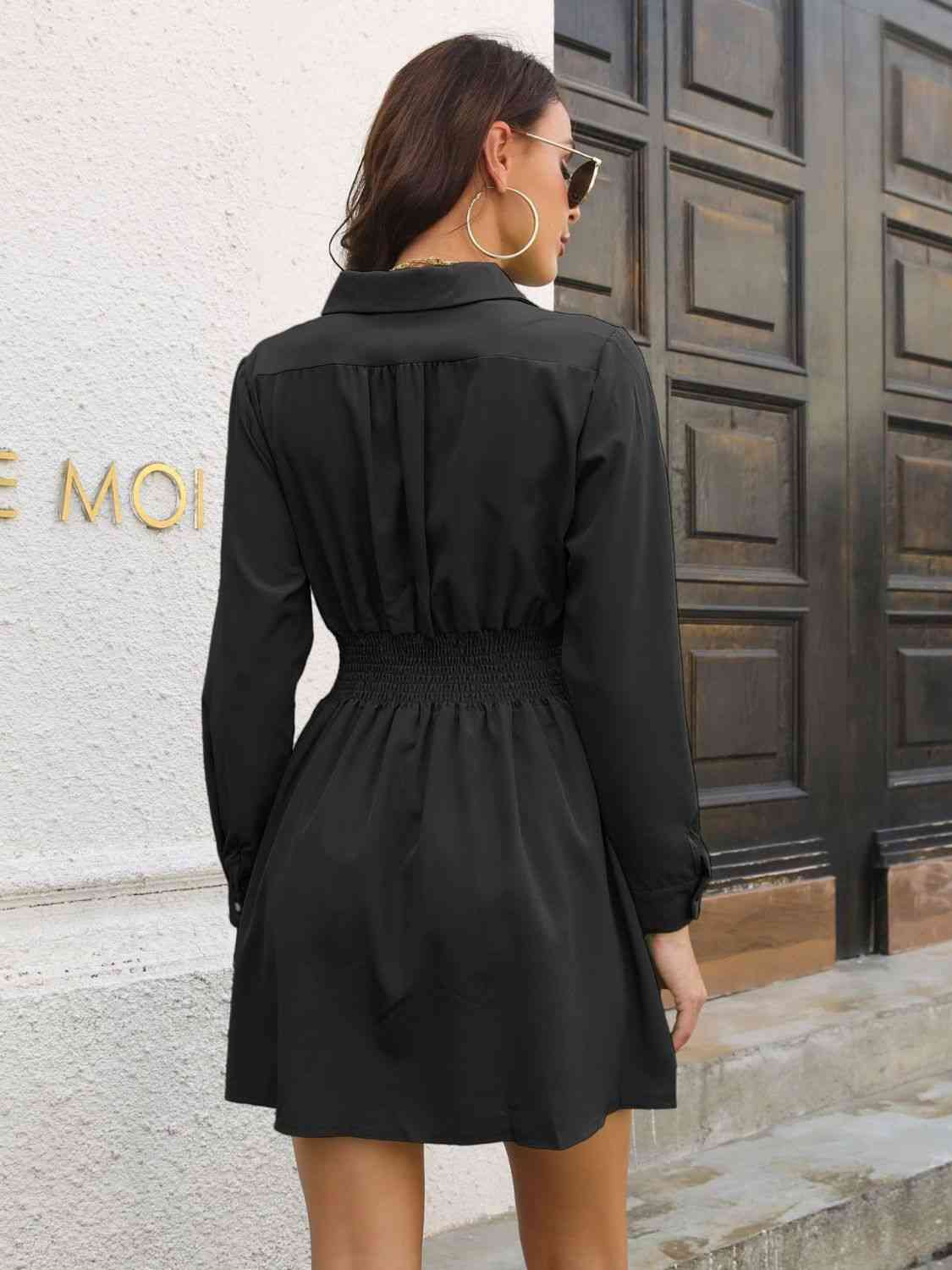 Johnny Collar Smocked Waist Long Sleeve Mini Dress BLUE ZONE PLANET