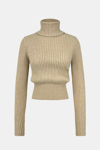 Blue Zone Planet | Ribbed Turtleneck Long Sleeve Sweater BLUE ZONE PLANET