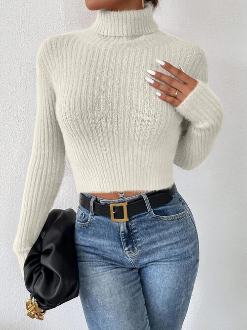 Ribbed Turtleneck Long Sleeve Sweater BLUE ZONE PLANET