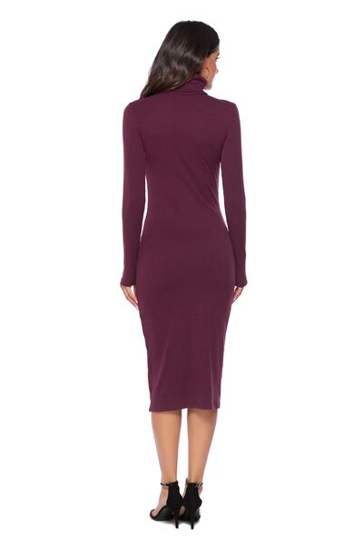 Ribbed Turtleneck Long Sleeve Dress BLUE ZONE PLANET