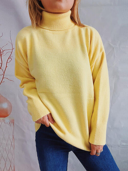 Blue Zone Planet | Turtleneck Long Sleeve Sweater BLUE ZONE PLANET