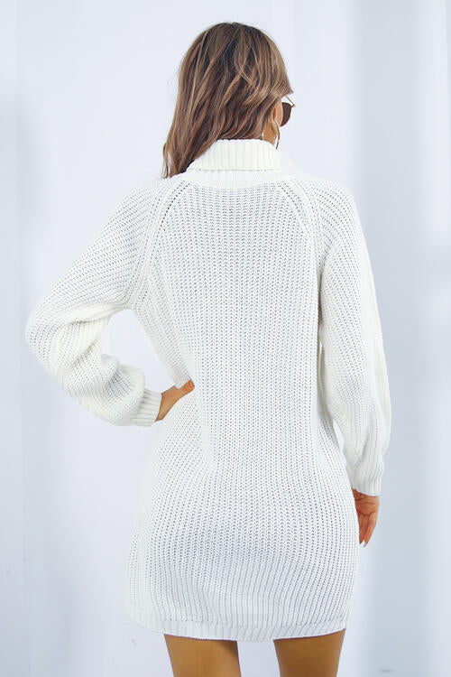 Buttoned Turtleneck Long Sleeve Sweater Dress BLUE ZONE PLANET