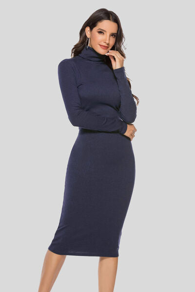 Ribbed Turtleneck Long Sleeve Dress BLUE ZONE PLANET