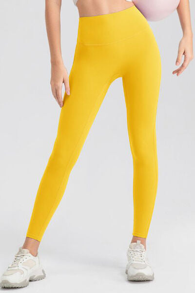 Blue Zone Planet | High Waist Skinny Active Pants BLUE ZONE PLANET