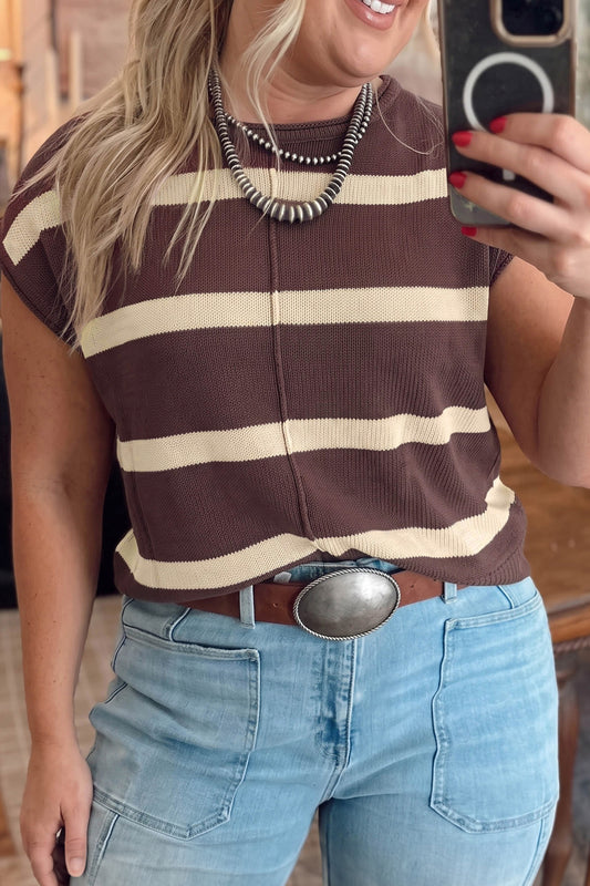 Brown Stripe Colorblock Knit Plus Size Sleeveless Casual Sweater-Plus Size/Plus Size Sweaters & Cardigans-[Adult]-[Female]-Brown Stripe-1X-2022 Online Blue Zone Planet