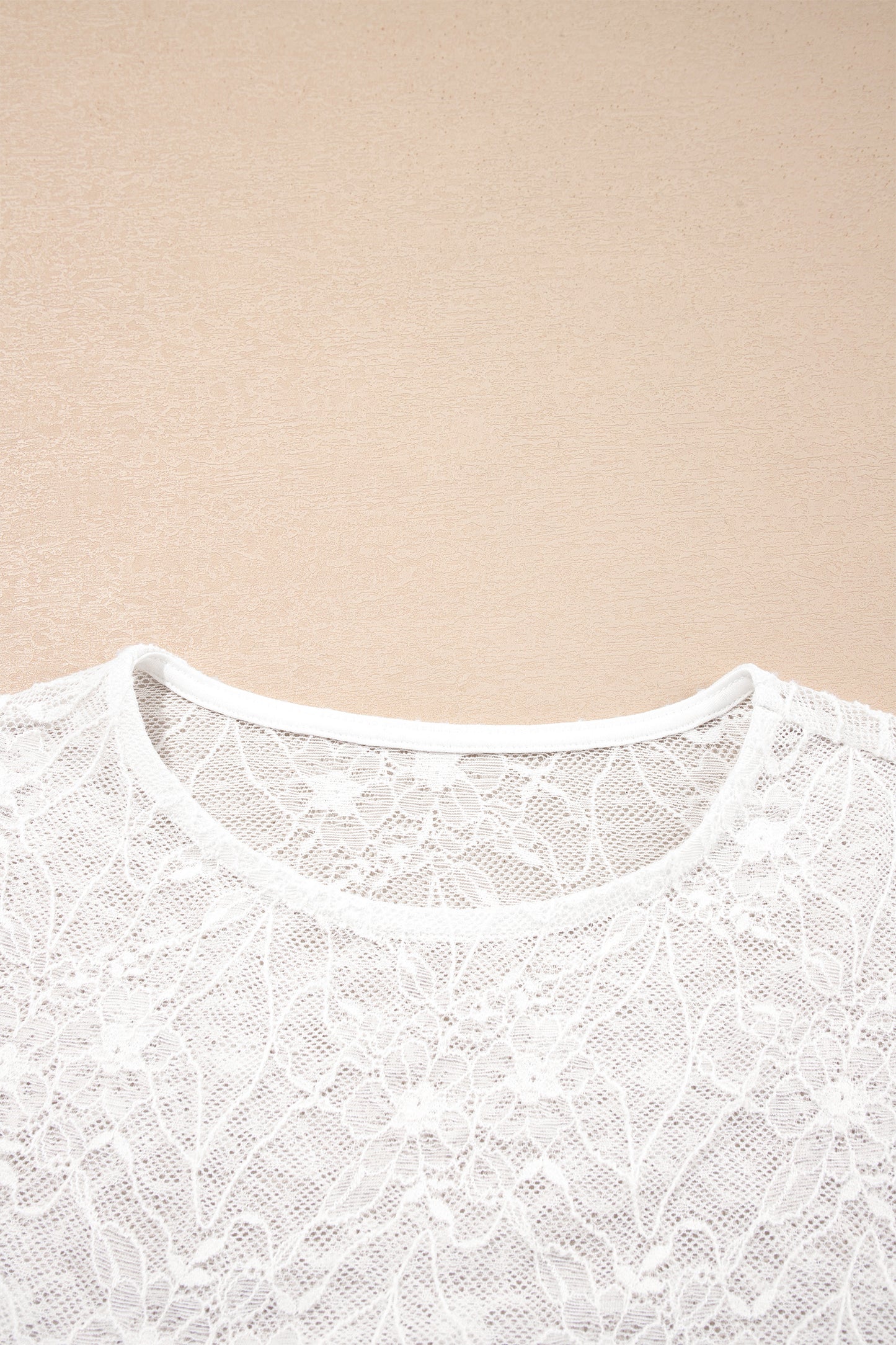 Beige Long Sleeve Sheer Mesh Lace Top