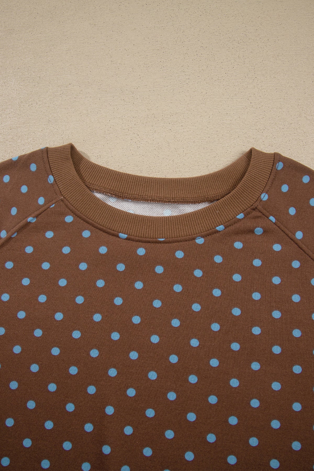 Brown Polka Dot Round Neck Long Sleeve Plus Size Set-Plus Size/Plus Size Loungewear-[Adult]-[Female]-2022 Online Blue Zone Planet