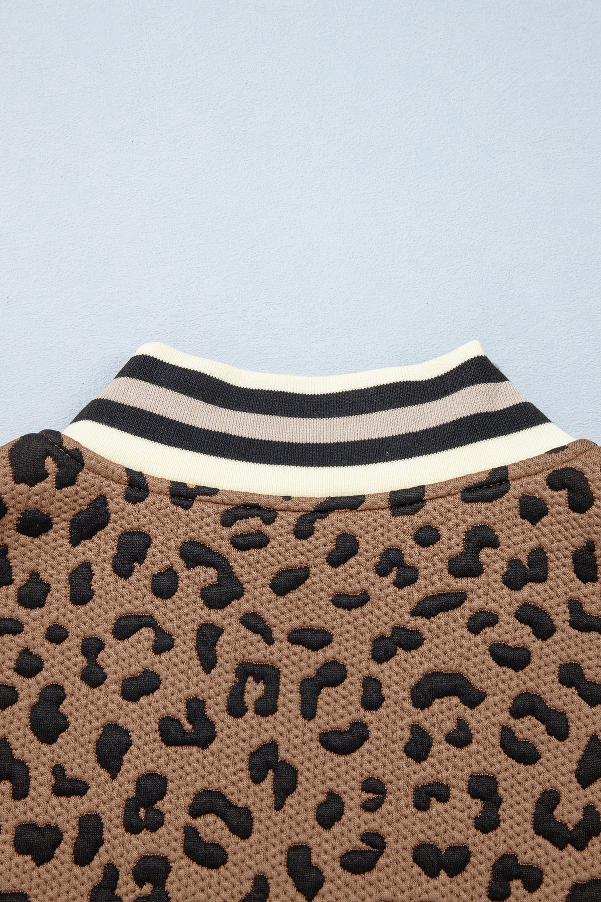 Brown Leopard Print Striped Trim Collar Long Sleeve Shift Pullover-Tops/Long Sleeve Tops-[Adult]-[Female]-2022 Online Blue Zone Planet