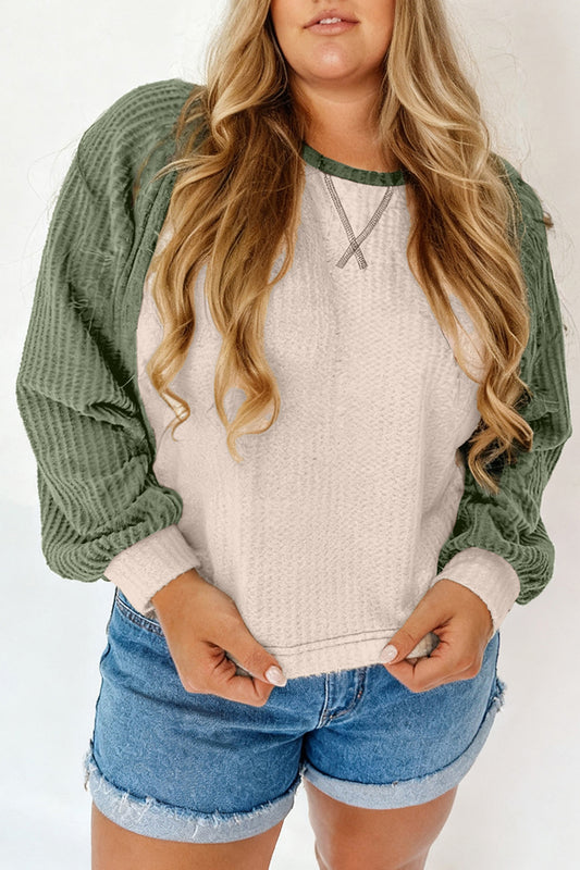Mist Green Plus Size Waffled Color Block Long Sleeve Top-Plus Size/Plus Size Tops/Plus Size Long Sleeve Tops-[Adult]-[Female]-Mist Green-1X-2022 Online Blue Zone Planet