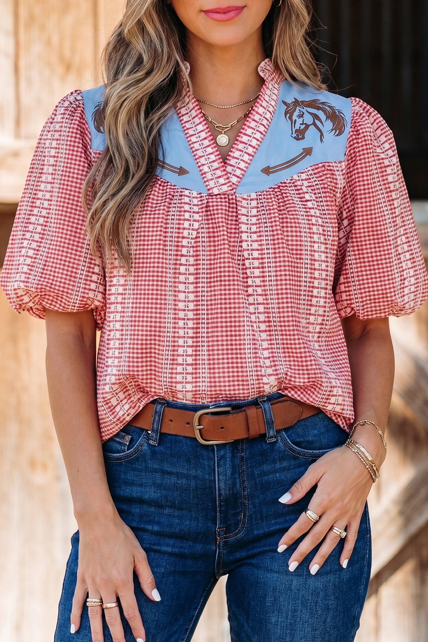 Brown Western Pony Embroidered Yoke Puff Sleeve Gingham Blouse-Tops/Blouses & Shirts-[Adult]-[Female]-2022 Online Blue Zone Planet