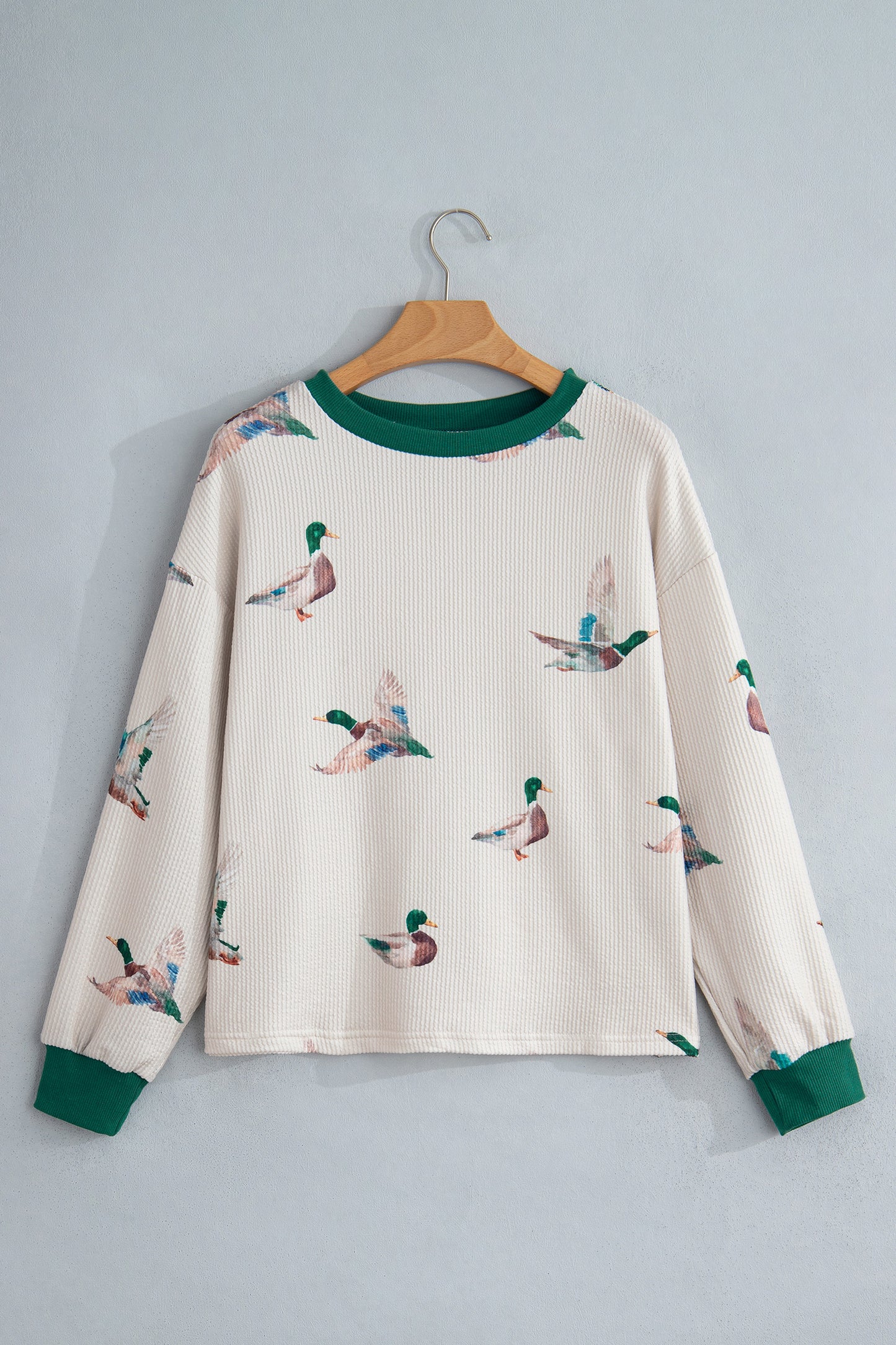 Beige Twisted Ribbed Duck Print Crewneck Casual Pullover Top-Tops/Long Sleeve Tops-[Adult]-[Female]-2022 Online Blue Zone Planet