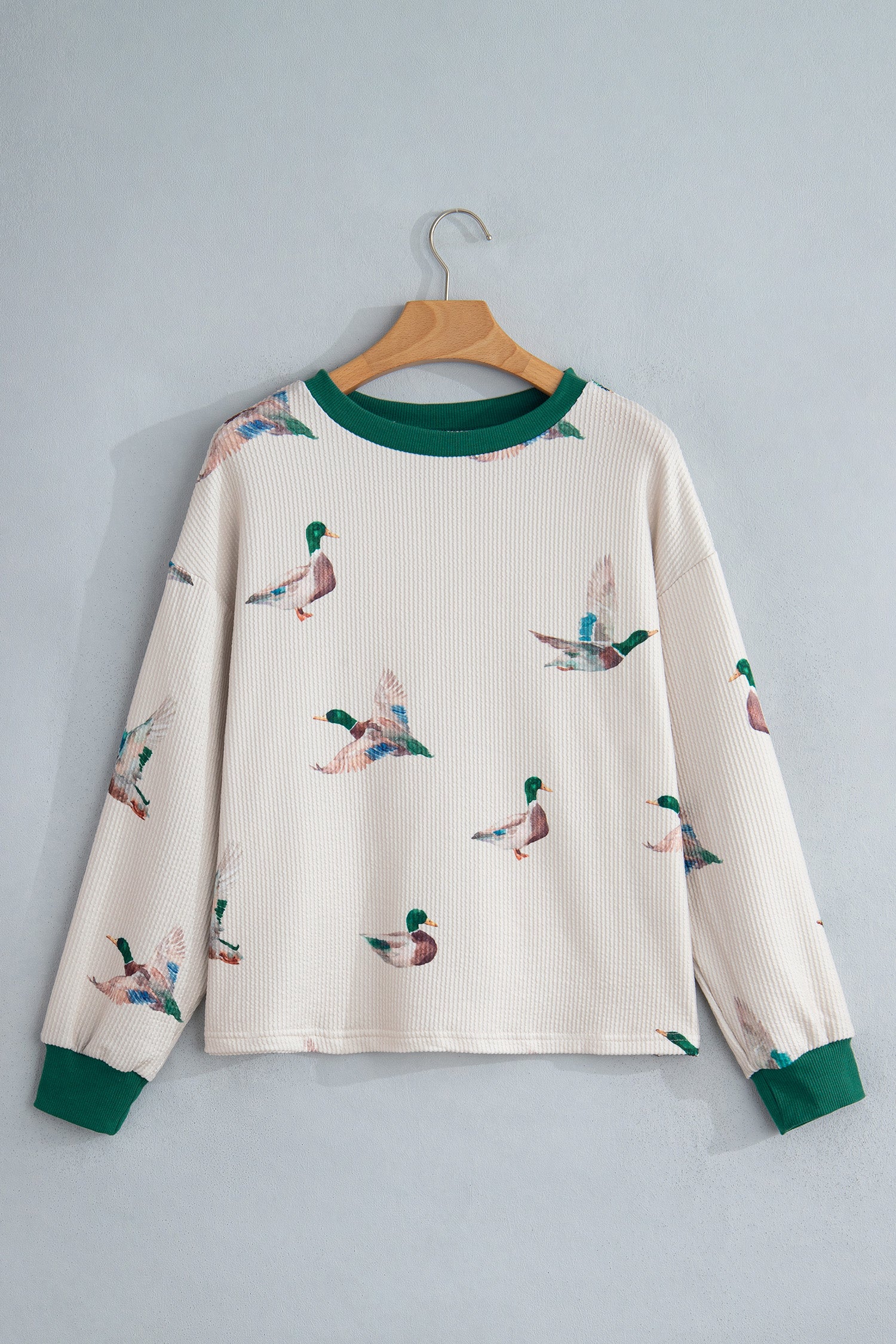 Beige Twisted Ribbed Duck Print Crewneck Casual Pullover Top-Tops/Long Sleeve Tops-[Adult]-[Female]-2022 Online Blue Zone Planet