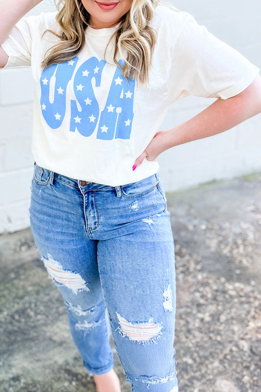 Sky Blue Usa Graphic Crewneck Plus Size Patriotic Tee-Plus Size/Plus Size Tops/Plus Size Tops & Tees-[Adult]-[Female]-2022 Online Blue Zone Planet