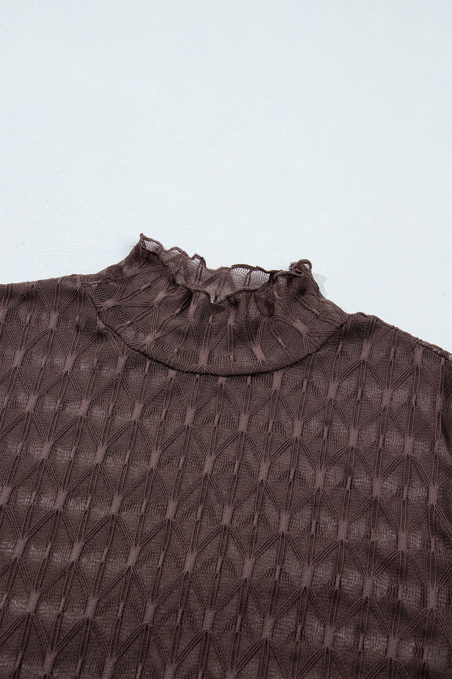 Chicory Coffee Sheer Textured Lace Stand Neck Long Sleeve Top-Tops/Long Sleeve Tops-[Adult]-[Female]-2022 Online Blue Zone Planet