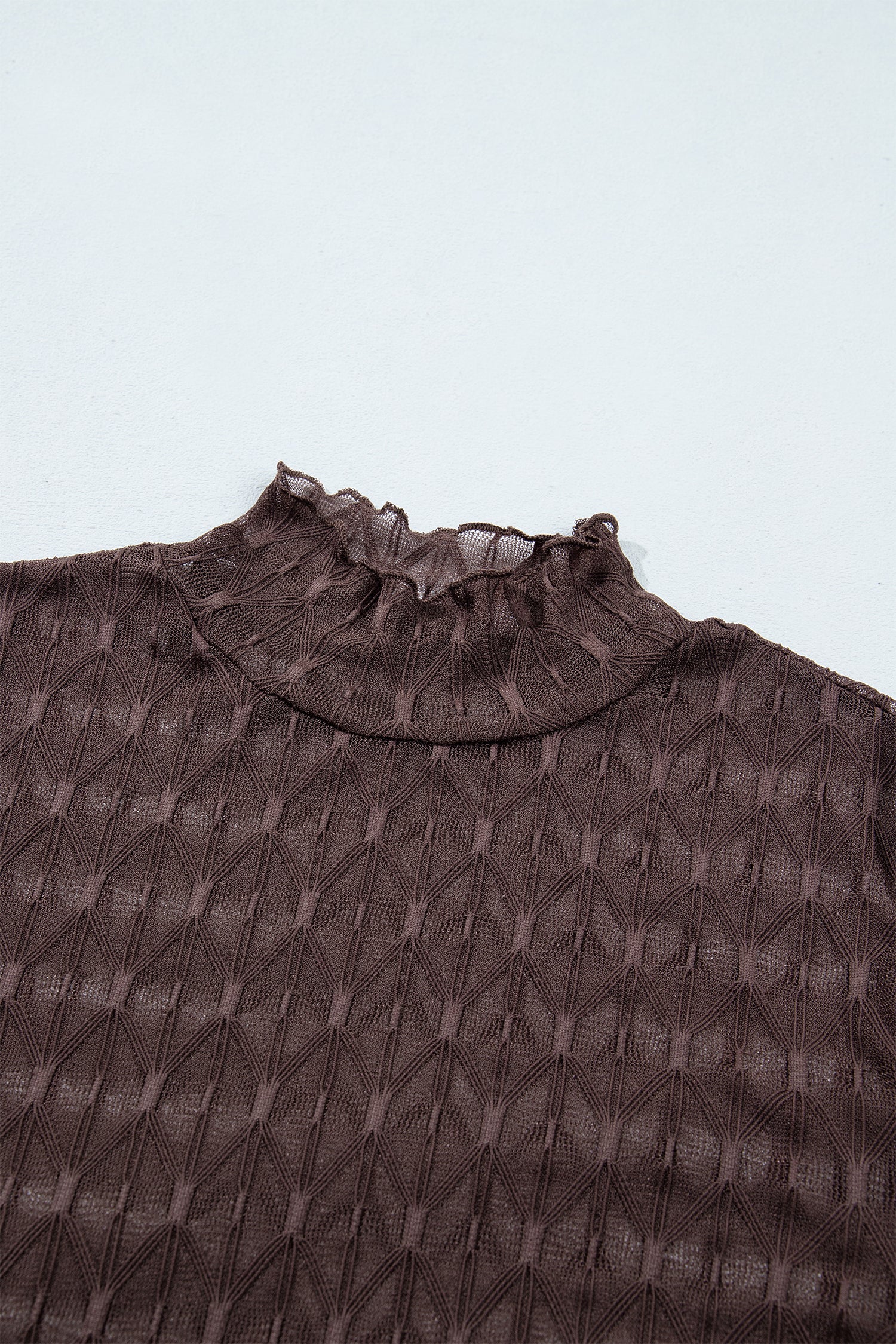 Chicory Coffee Sheer Textured Lace Stand Neck Long Sleeve Top-Tops/Long Sleeve Tops-[Adult]-[Female]-2022 Online Blue Zone Planet