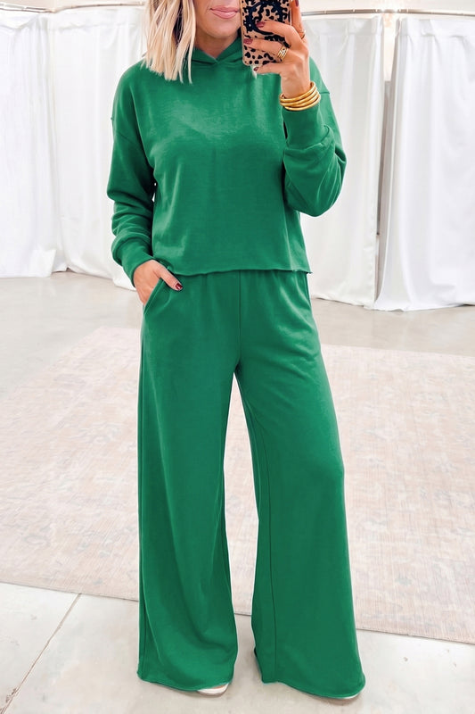Bright Green Solid Color Hooded Long Sleeve Elastic Waist Pocket Pant Set-Two Piece Sets/Pant Sets-[Adult]-[Female]-Bright Green-S-2022 Online Blue Zone Planet