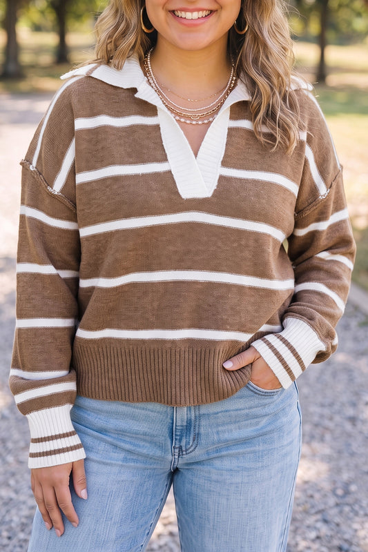 Brown Stripe Striped V Neck Long Sleeve Shift Plus Size Sweater
