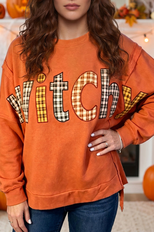 Flamingo Halloween Witchy Plaid Slogan Embroidered Patch Tunic Sweatshirt-Tops/Long Sleeve Tops-[Adult]-[Female]-Flamingo-S-2022 Online Blue Zone Planet