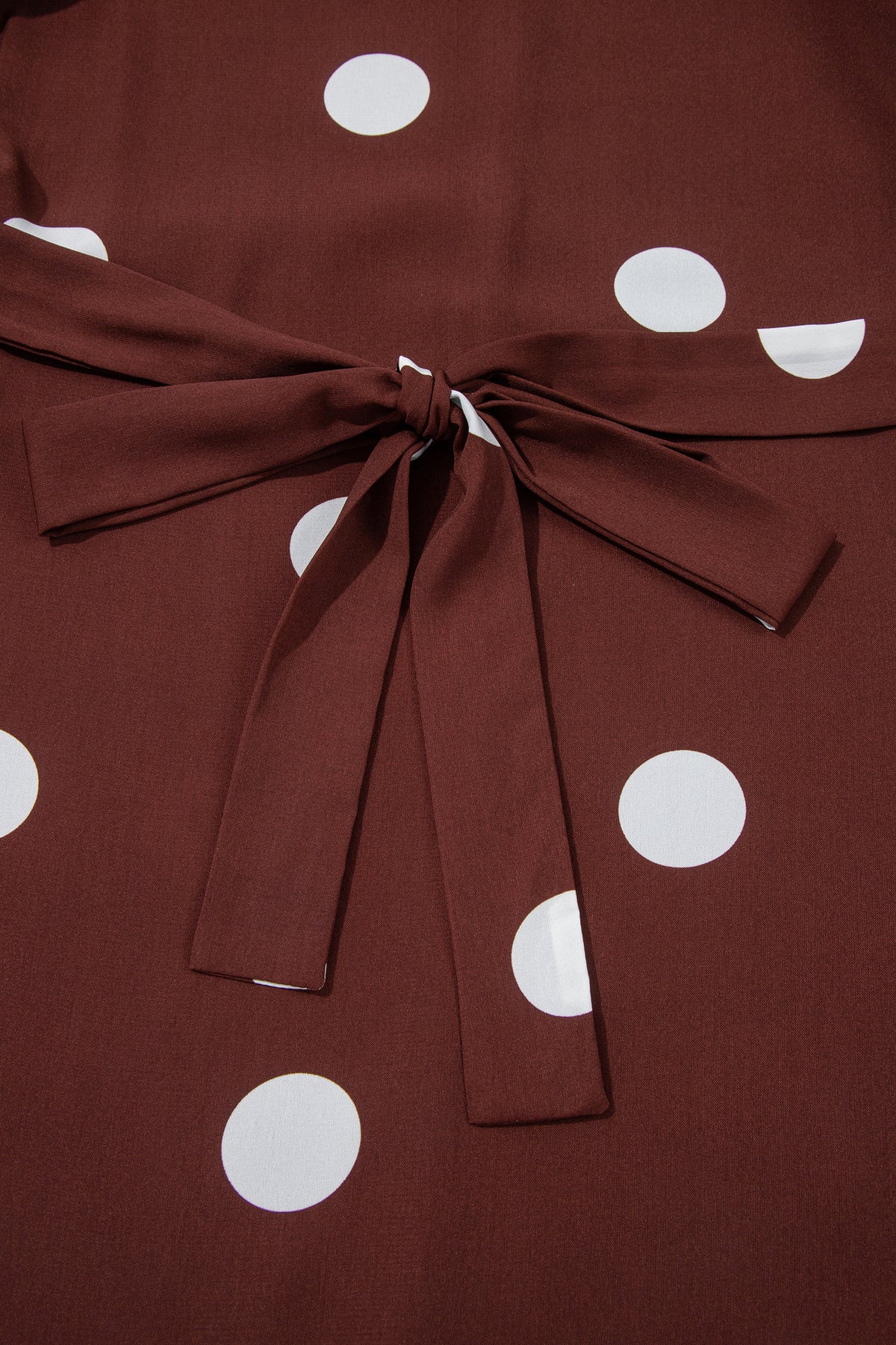 Brown Polka Dot Ruffled Hem Long Sleeve Tie Waist Plus Size Dress-TOPS / DRESSES-[Adult]-[Female]-2022 Online Blue Zone Planet