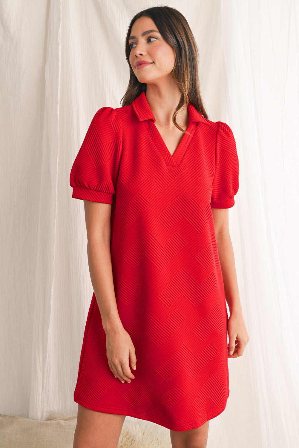 Blue Zone Planet |  Fiery Red V Neck Puff Sleeve Textured Mini Dress