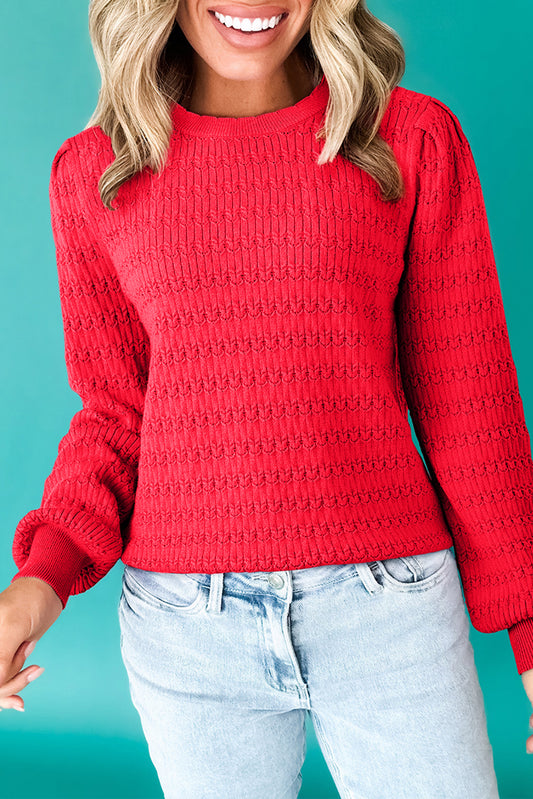 Fiery Red Trendy Pattern Knit Ribbed Cuffs Crew Neck Sweater-TOPS / DRESSES-[Adult]-[Female]-Fiery Red-S-2022 Online Blue Zone Planet
