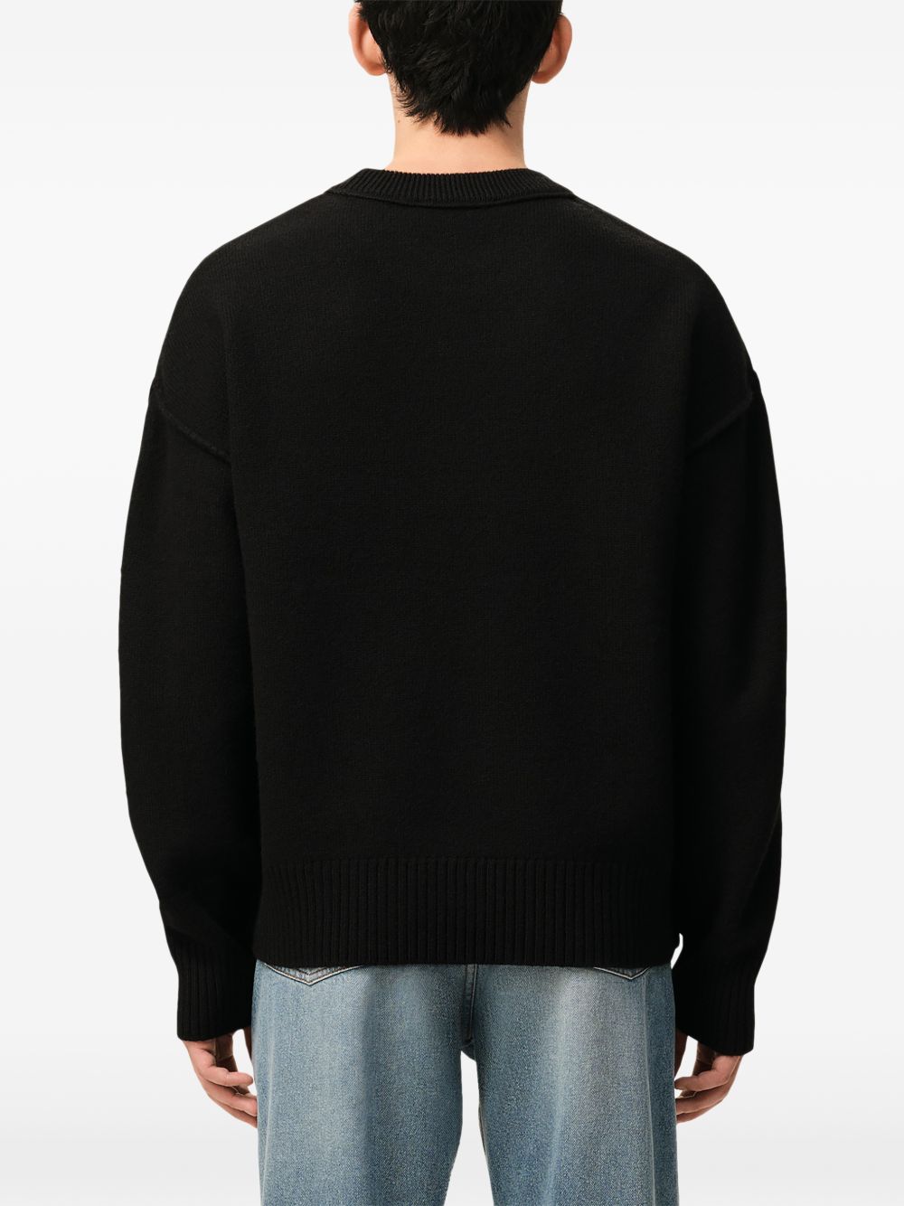 Ami Paris Sweater-TOPS / DRESSES-[Adult]-[Female]-2022 Online Blue Zone Planet