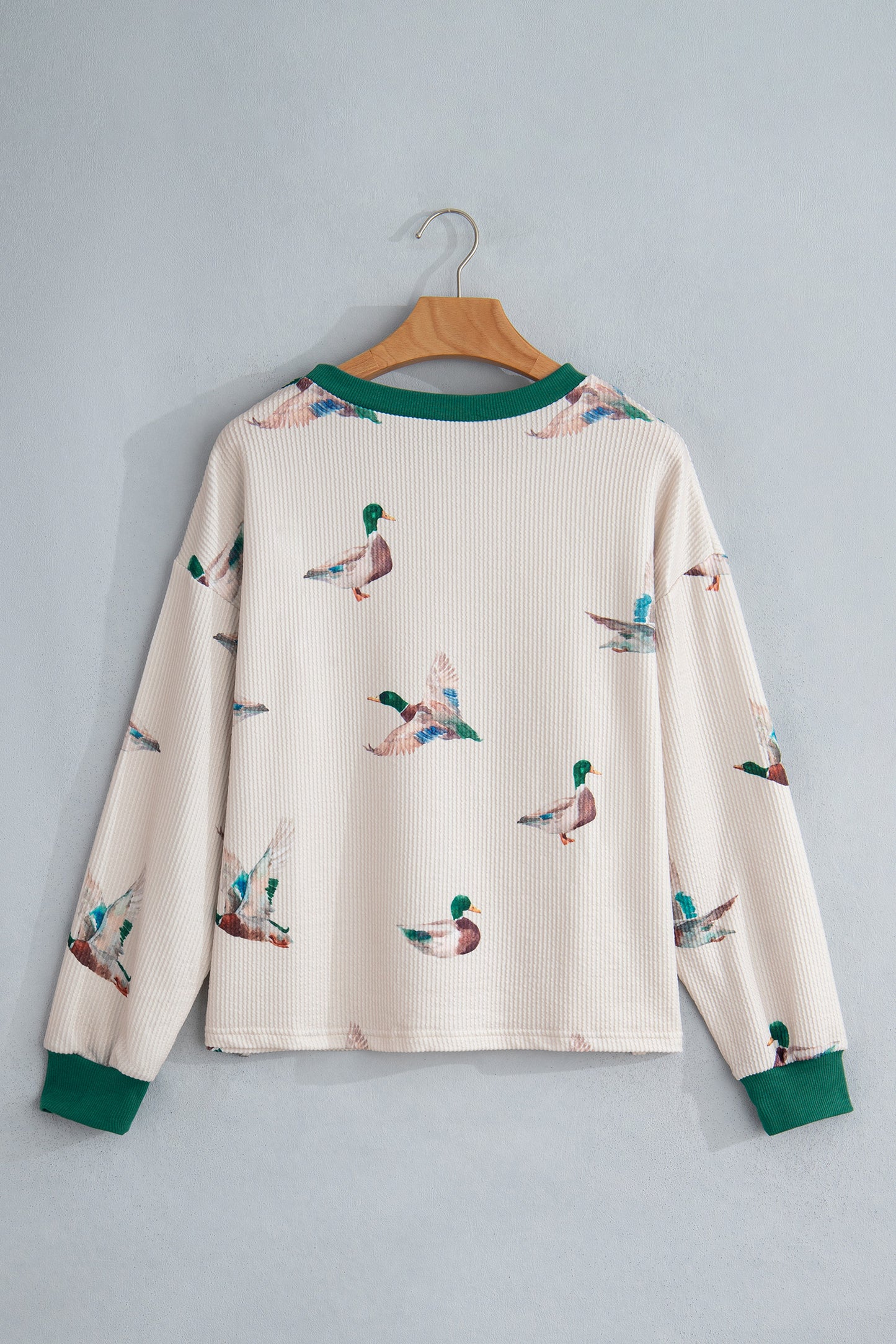Beige Twisted Ribbed Duck Print Crewneck Casual Pullover Top-Tops/Long Sleeve Tops-[Adult]-[Female]-2022 Online Blue Zone Planet