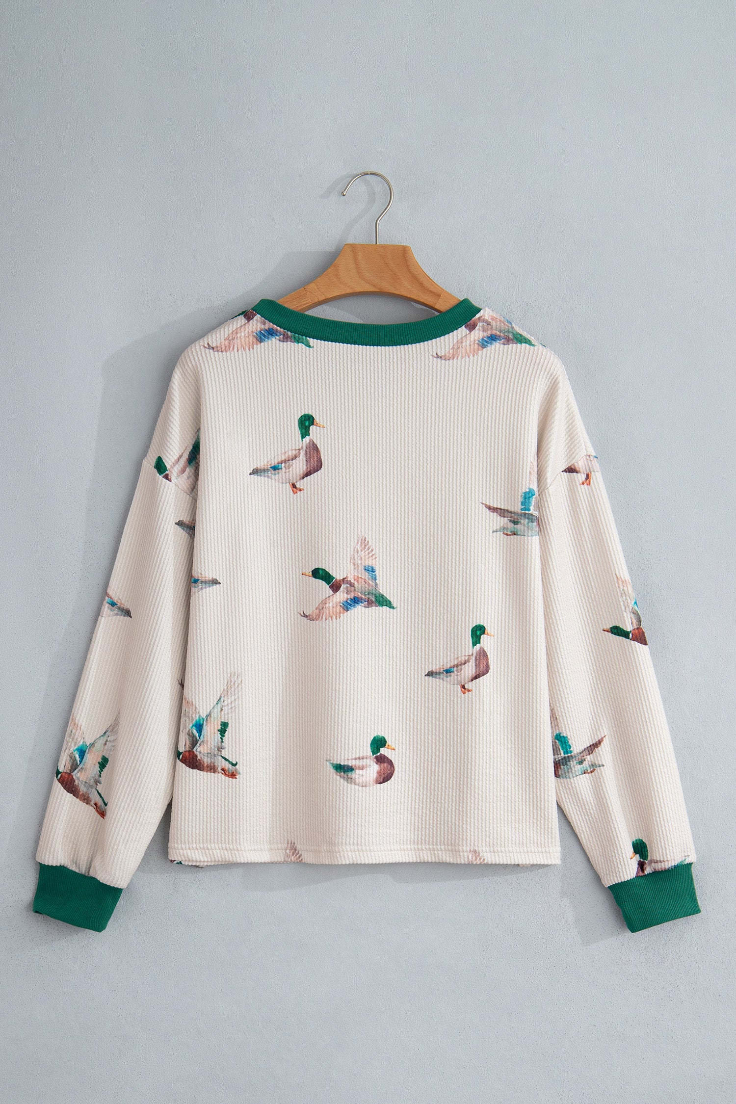 Beige Twisted Ribbed Duck Print Crewneck Casual Pullover Top-Tops/Long Sleeve Tops-[Adult]-[Female]-2022 Online Blue Zone Planet