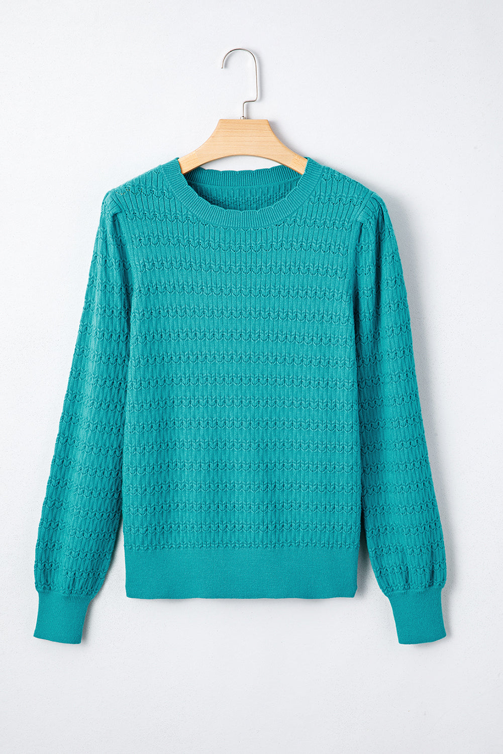 Sea Green Trendy Pattern Knit Ribbed Cuffs Crew Neck Sweater-TOPS / DRESSES-[Adult]-[Female]-2022 Online Blue Zone Planet