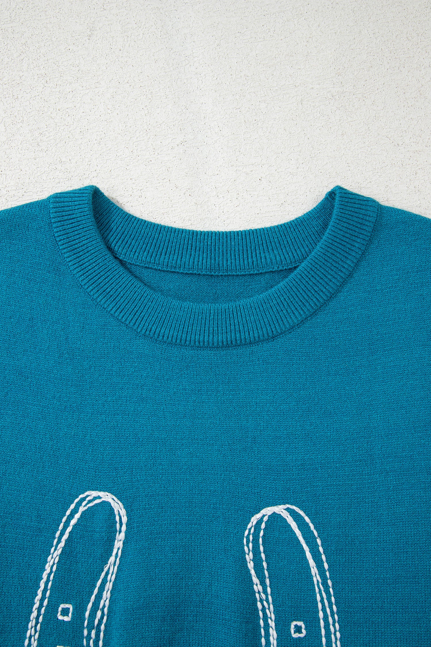 Light Blue Horse Shoe Embroidered Loose Short Sleeve Sweater-TOPS / DRESSES-[Adult]-[Female]-2022 Online Blue Zone Planet