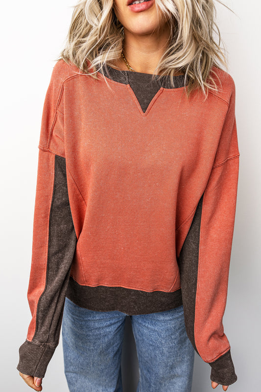 Flamingo Patchwork Colorblock Long Sleeve Vintage Regular Fit Sweatshirt-Tops/Sweatshirts & Hoodies-[Adult]-[Female]-Flamingo-S-2022 Online Blue Zone Planet