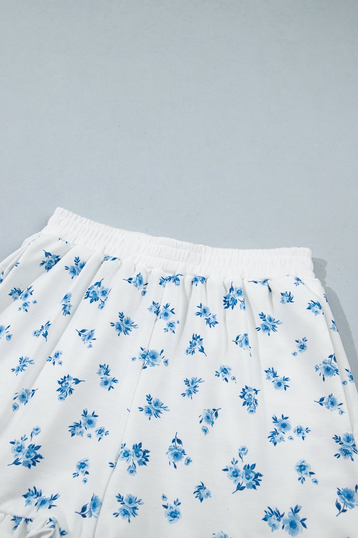 Sky Blue Floral Print Long Sleeve Top Elastic Waist Ruffle Hem Shorts 2pcs Set-Two Piece Sets/Short Sets-[Adult]-[Female]-2022 Online Blue Zone Planet