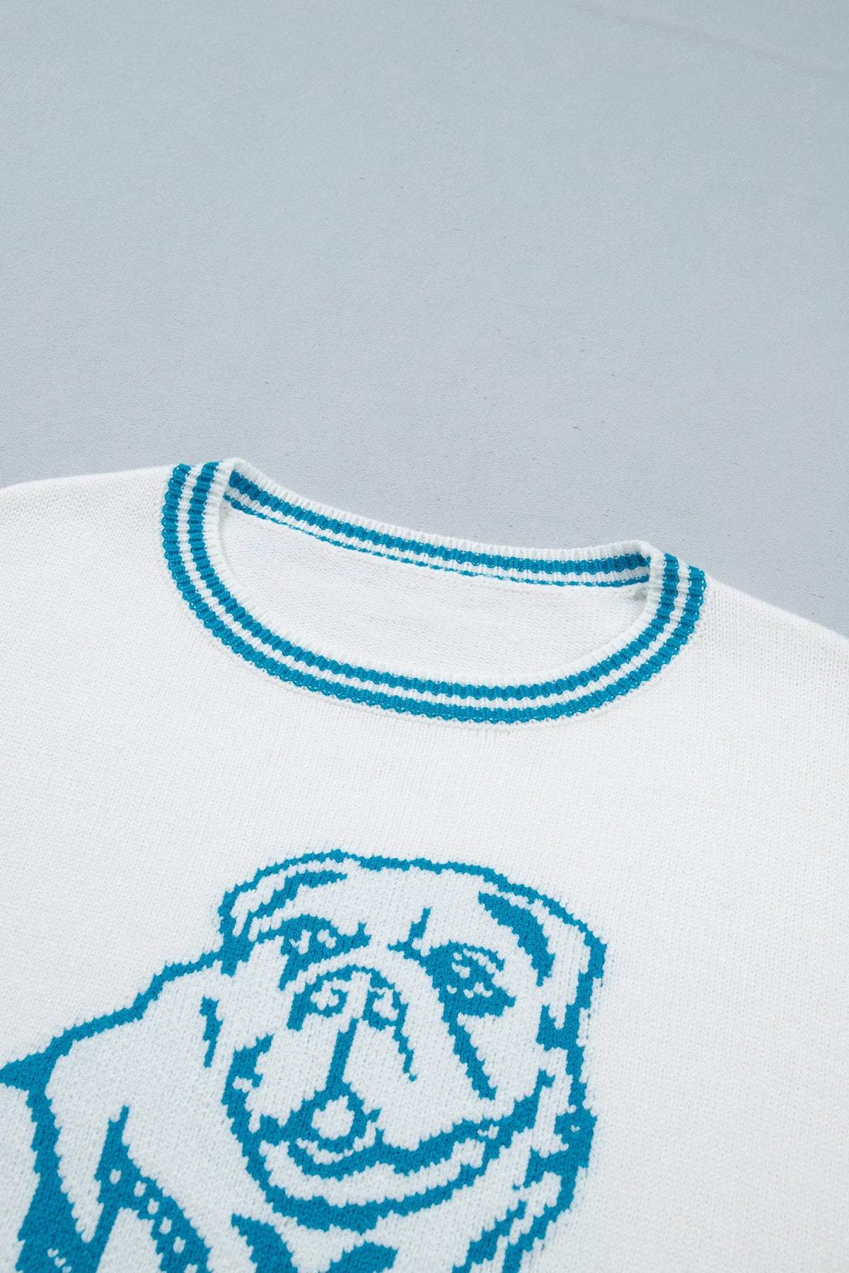 Light Blue Bulldog Contrast Trim Round Neck Casual Sweater-TOPS / DRESSES-[Adult]-[Female]-2022 Online Blue Zone Planet