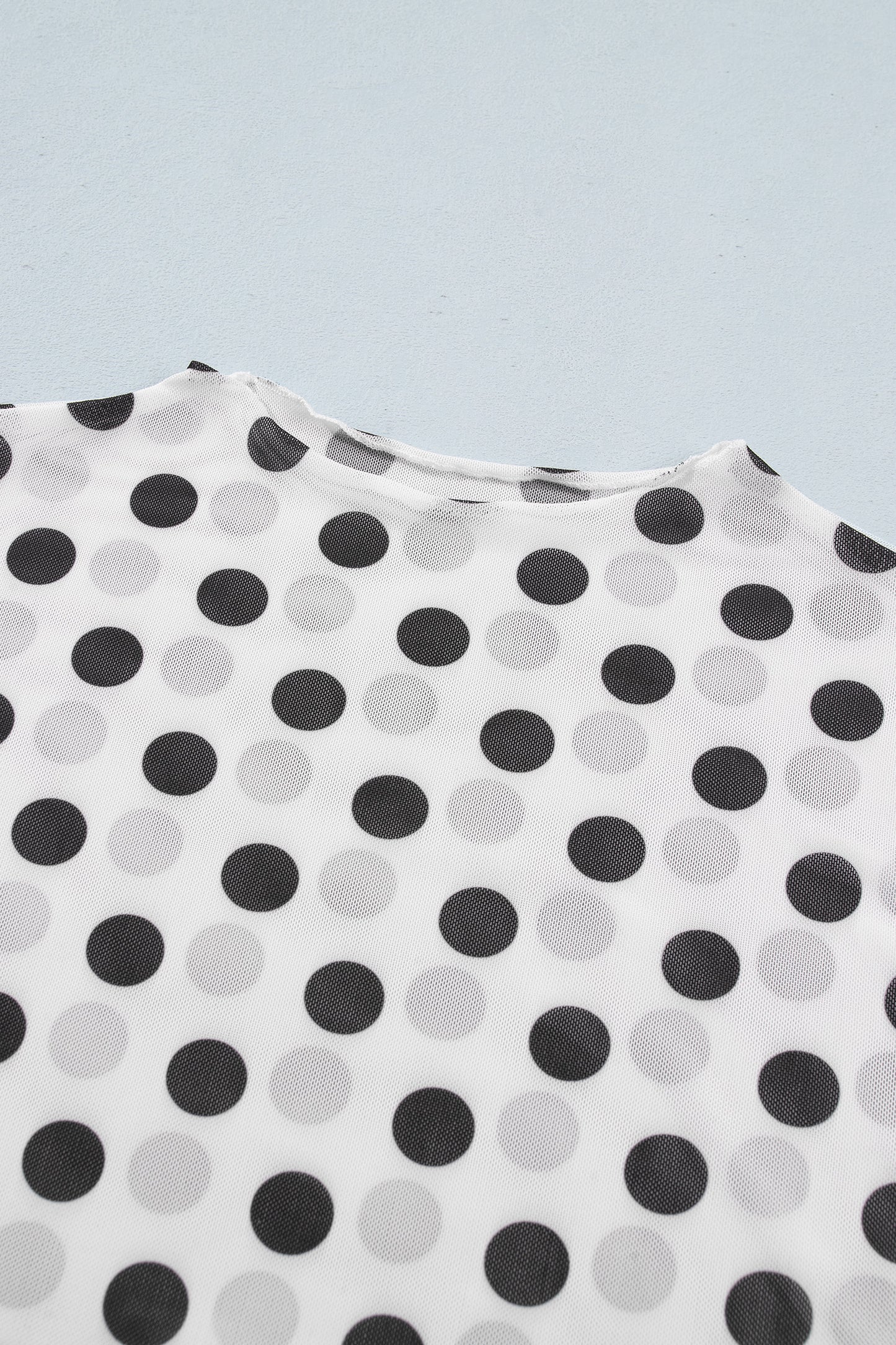 White Polka Dot Sheer Long Sleeve Round Neck Slim Top-Tops/Long Sleeve Tops-[Adult]-[Female]-2022 Online Blue Zone Planet
