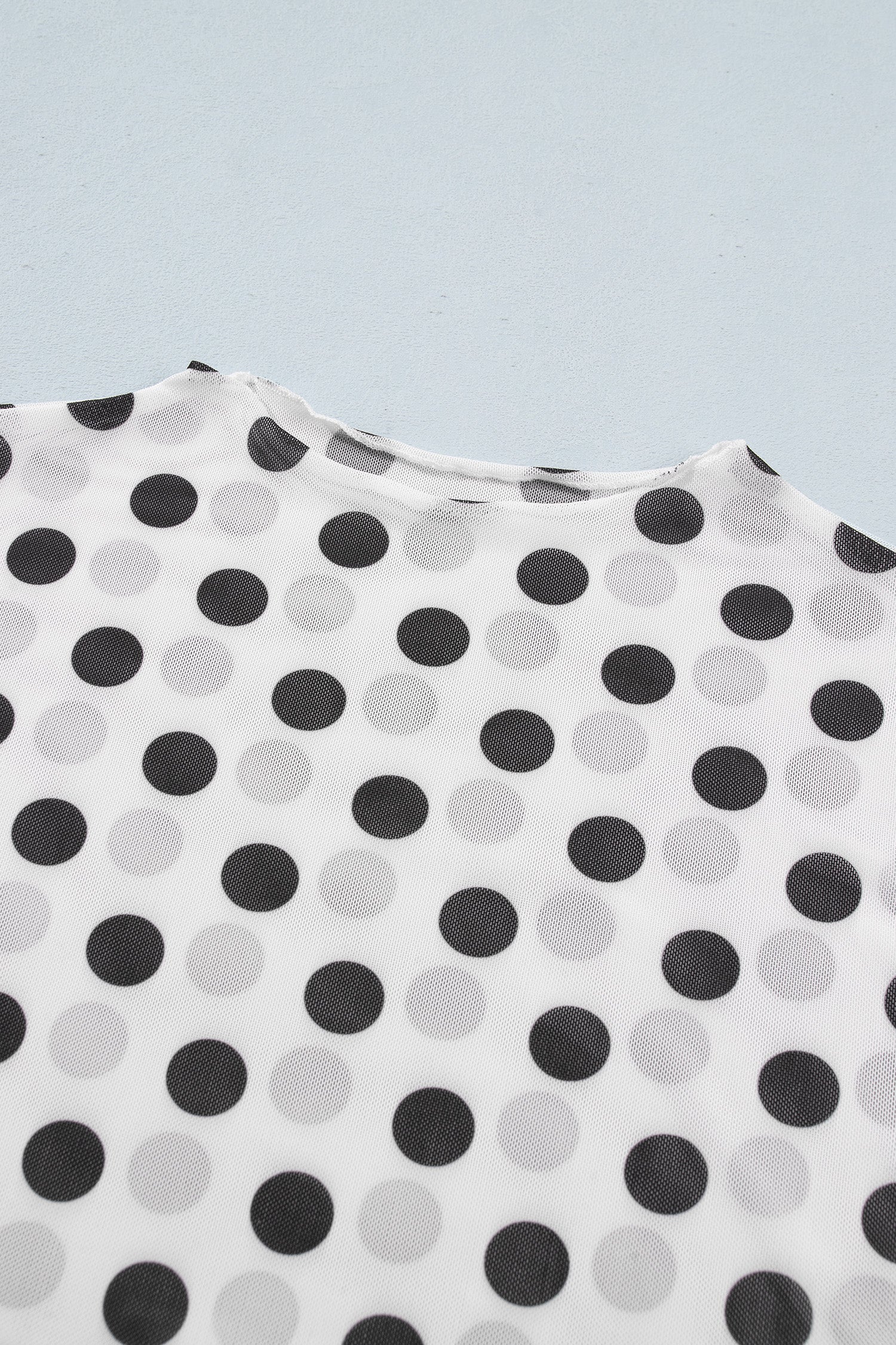 White Polka Dot Sheer Long Sleeve Round Neck Slim Top-Tops/Long Sleeve Tops-[Adult]-[Female]-2022 Online Blue Zone Planet