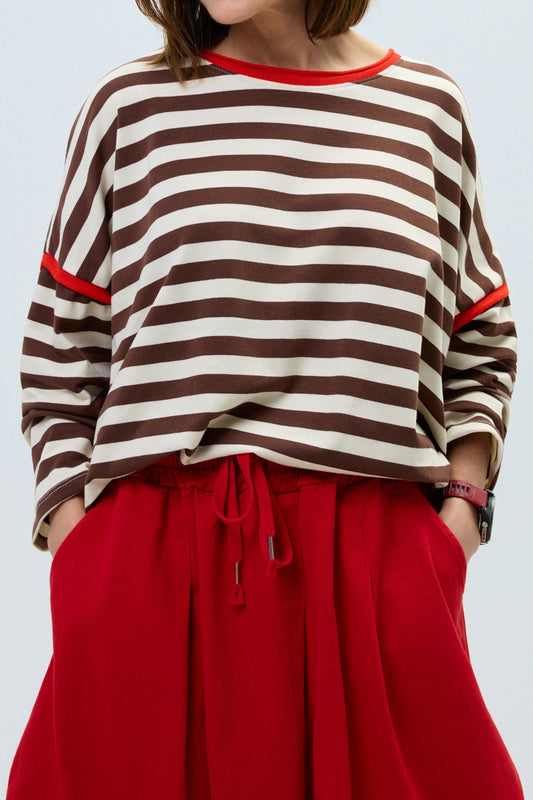 Brown Stripe Casual Long Sleeve Contrast Trim Round Neck Shift Top-Tops/Long Sleeve Tops-[Adult]-[Female]-Brown Stripe-S-2022 Online Blue Zone Planet