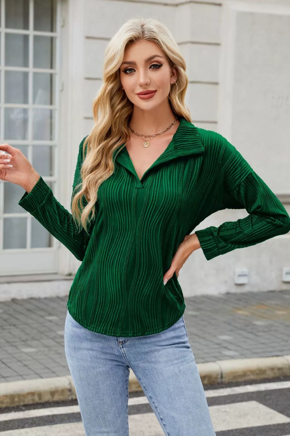 Texture Collared Neck Long Sleeve Blouse-TOPS / DRESSES-[Adult]-[Female]-2022 Online Blue Zone Planet