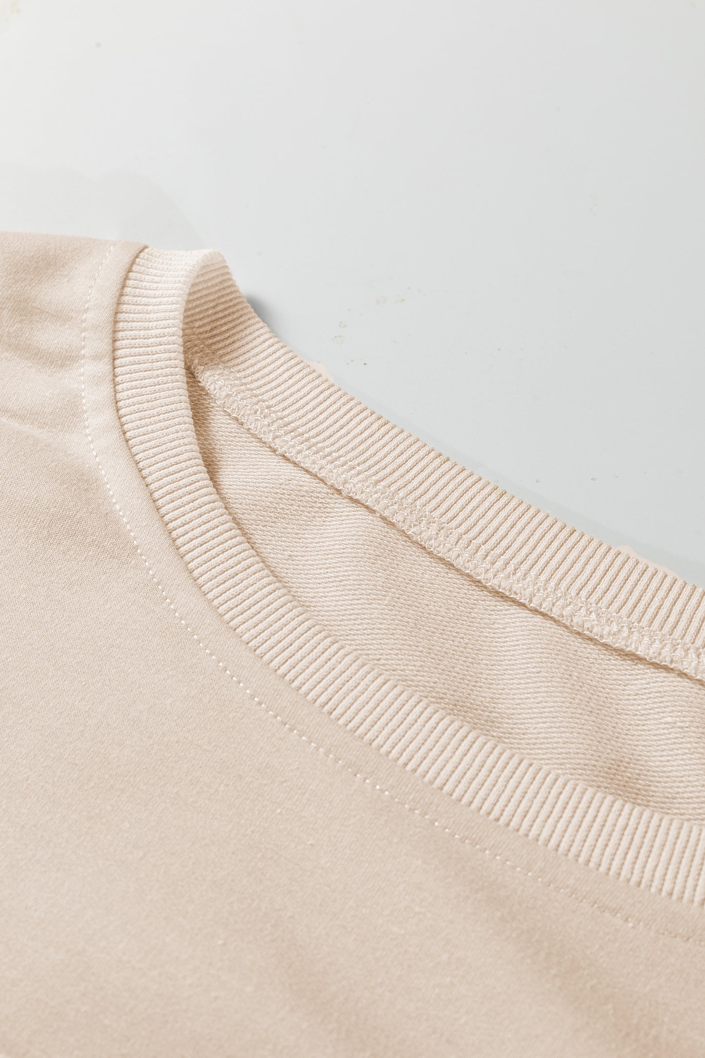 Beige Flower Patched Mineral Wash Round Neck Plus Size Top-Plus Size/Plus Size Tops/Plus Size Long Sleeve Tops-[Adult]-[Female]-2022 Online Blue Zone Planet