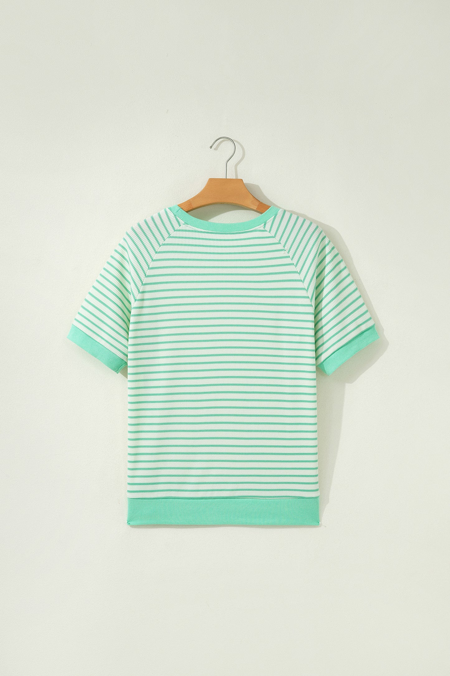 Green Stripe Colorblock Trim Round Neck Short Sleeve Tee-Tops/Tops & Tees-[Adult]-[Female]-2022 Online Blue Zone Planet